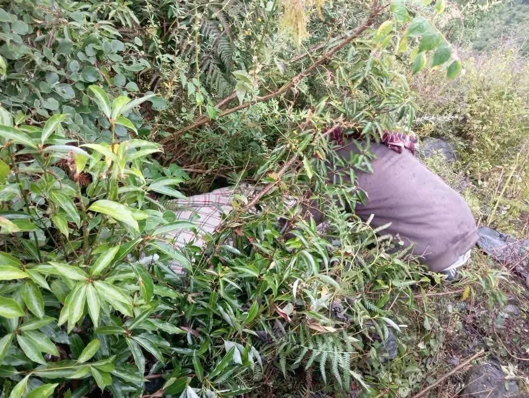 चंबा के तीसा में एक टैक्सी कार दुर्घटनाग्रस्त हो गई। हादसे में महिला की मौके पर ही मौत हो गई,
जबकि चालक गंभीर रूप से घायल बताया जा रहा है।