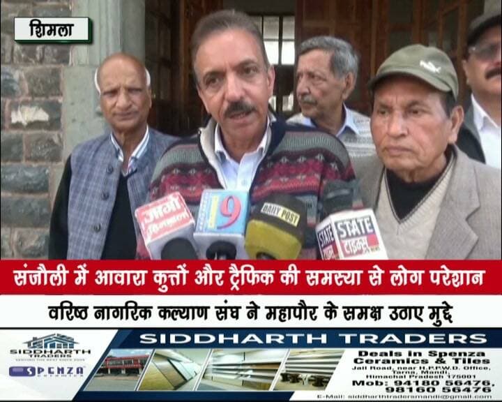 संजौली में आवारा कुत्तों और ट्रैफिक की समस्या से लोग परेशान
वरिष्ठ नागरिक कल्याण संघ ने महापौर के समक्ष उठाए मुद्दे