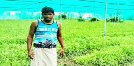 सेवा संकल्प अभियान: सेवा की कहानी
शासकीय योजना और तकनीकी मार्गदर्शन से बहोरन ने अपनाई आधुनिक उद्यानिकी खेती
शेडनेट हाउस में सब्जी उत्पादन से बढ़ी आमदनी, पारंपरिक खेती के साथ आय के नए अवसर हुए विकसित
<nis:link nis:type=tag nis:id=सेवा_संकल्प_अभियान nis:value=सेवा_संकल्प_अभियान nis:enabled=true nis:link/> <nis:link nis:type=tag nis:id=सेवा_की_कहानी nis:value=सेवा_की_कहानी nis:enabled=true nis:link/> <nis:link nis:type=tag nis:id=sevasankalpabhiyan nis:value=SevaSankalpAbhiyan nis:enabled=true nis:link/> <nis:link nis:type=tag nis:id=janjgirchampa nis:value=JanjgirChampa nis:enabled=true nis:link/> <nis:link nis:type=tag nis:id=sevakikahani nis:value=SevaKiKahani nis:enabled=true nis:link/> <nis:link nis:type=tag nis:id=sevasankalp nis:value=SevaSankalp nis:enabled=true nis:link/> <nis:link nis:type=tag nis:id=sevasevikas nis:value=SevaSeVikas nis:enabled=true nis:link/> <nis:link nis:type=tag nis:id=vishnubhaiya nis:value=vishnubhaiya nis:enabled=true nis:link/>