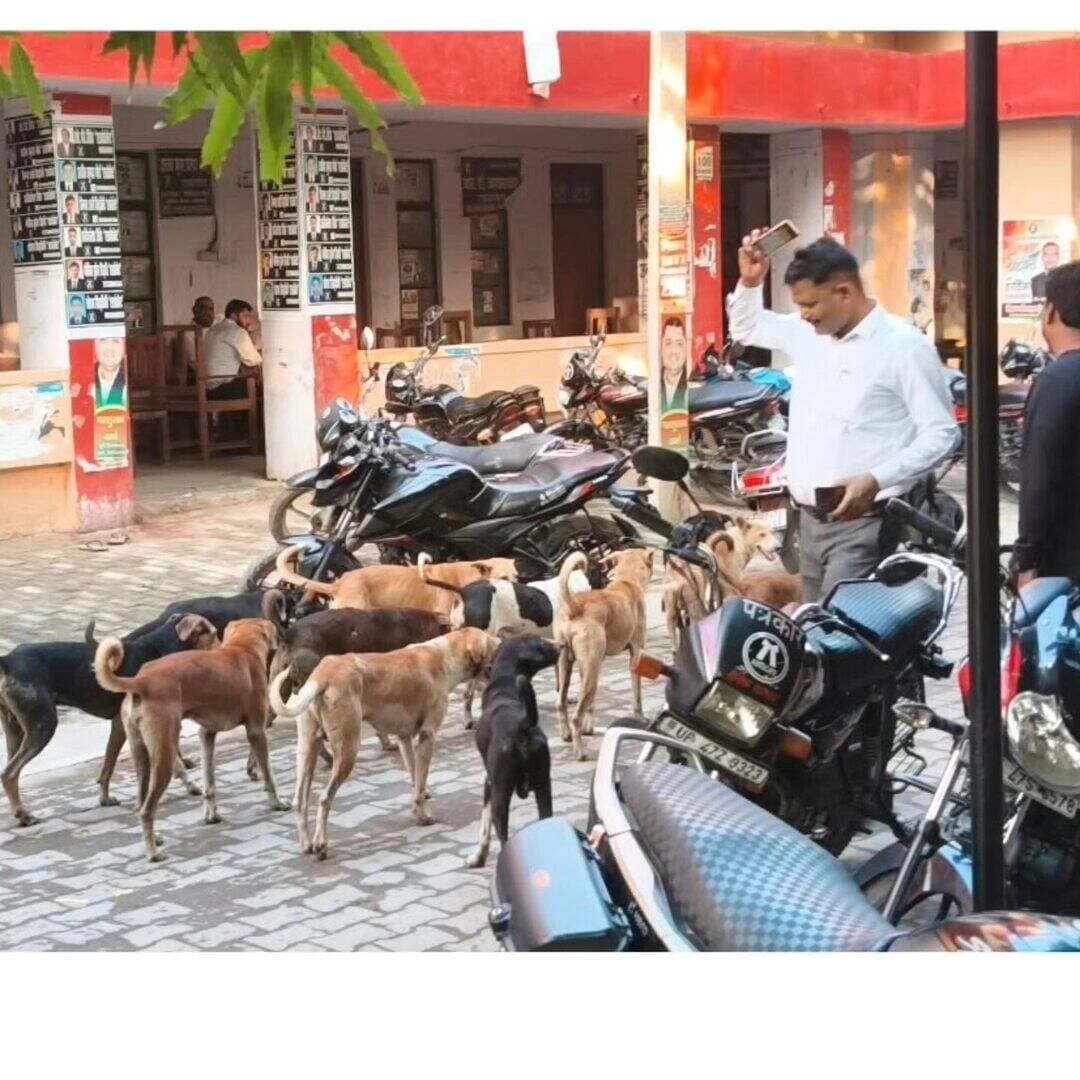 #Balrampur ! #उतरौला तहसील परिसर में आवारा कुत्तों का डेरा: सहमे फरियादी, अधिकारियों की खामोशी पर उठे सवाल
उतरौला (बलरामपुर):
तहसील उतरौला परिसर में आवारा कुत्तों के बढ़ते जमावड़े से फरियादियों की सुरक्षा पर गंभीर खतरा मंडराने लगा है। प्रतिदिन अपनी समस्याओं व राजस्व संबंधी कार्यों के निस्तारण के लिए दूर-दराज़ के ग्रामीण इलाकों से आने वाले सैकड़ों लोगों को इन्हीं हिंसक हो सकने वाले कुत्तों के बीच से होकर गुजरना पड़ रहा है, जिससे परिसर में भय और असुरक्षा का माहौल बना हुआ है।
बुजुर्गों, महिलाओं और बच्चों के लिए बढ़ा जोखिम
तहसील में आय, जाति, निवास प्रमाणपत्र और भूमि विवाद से जुड़े मामलों के लिए बड़ी संख्या में बुजुर्ग, महिलाएं और बच्चे भी पहुंचते हैं। झुंड बनाकर घूम रहे कुत्तों के अचानक भौंकने या झपटने से कभी भी बड़ी दुर्घटना हो सकती है। फरियादियों का कहना है कि न्याय की उम्मीद में आने वाले लोगों के लिए सरकारी कार्यालय में ही सुरक्षित वातावरण उपलब्ध नहीं है।
नगर पालिका व प्रशासन के समन्वय की दरकार
स्थानीय लोगों और वादकारियों ने संबंधित अधिकारियों से समस्या का तत्काल संज्ञान लेने की मांग की है। नागरिकों की अपेक्षा है कि नगर पालिका प्रशासन के साथ समन्वय स्थापित कर कुत्तों की नसबंदी, टीकाकरण और मानवीय तरीके से उन्हें पकड़े जाने की व्यवस्था की जाए, ताकि परिसर को सुरक्षित बनाया जा सके।
अब देखना यह होगा कि तहसील प्रशासन इस संवेदनहीन स्थिति पर कब तक चुप्पी तोड़ता है और आम जनता को राहत दिलाने के लिए क्या ठोस कदम उठाता है।
#balrampur #utraula