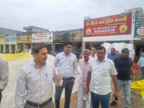 सोनीपत: खरखौदा अनाज मंडी में धान खरीद प्रक्रिया का कड़ाई से निरीक्षण