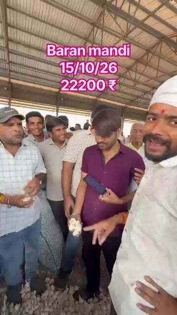 15/10/2026 Baran mandi #mandibhav #nkrk #today #गार्लिक #लहसुन