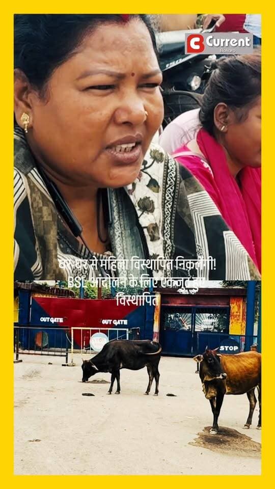घर-घर से महिला विस्थापित निकलेंगी! BSL आंदोलन के लिए एकजुट हुए विस्थापित
#bokaro #BSL #BokaroSteelPlant #विस्थापित #विस्थापितआंदोलन #GateBandh #BSLProtest #BokaroNews #JharkhandNews #HungerStrike #DisplacedApprenticeSangh #BSLGateJam #BokaroBreakingNews #CurrentBokaro #BreakingNews