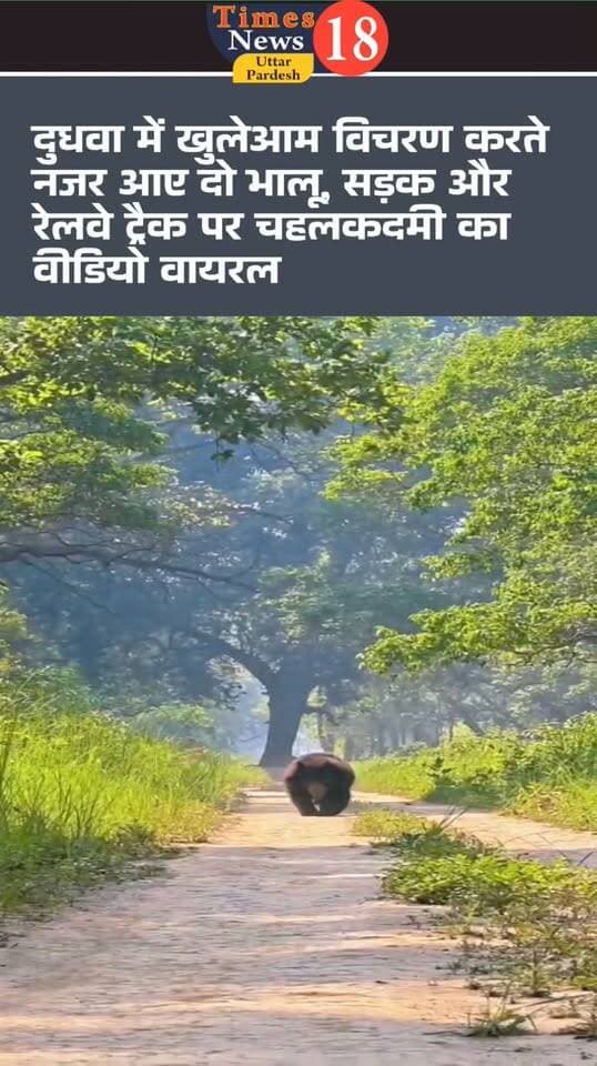 दुधवा में खुलेआम विचरण करते नजर आए दो भालू, सड़क और रेलवे ट्रैक पर चहलकदमी का वीडियो वायरल
#dineshkhbar #sunrisetelevsion #highlightseveryone #paliakalankheri #रुपईडीहा #नीमगाँव #कस्टम्स #customs #LakhimpurKheri #followers