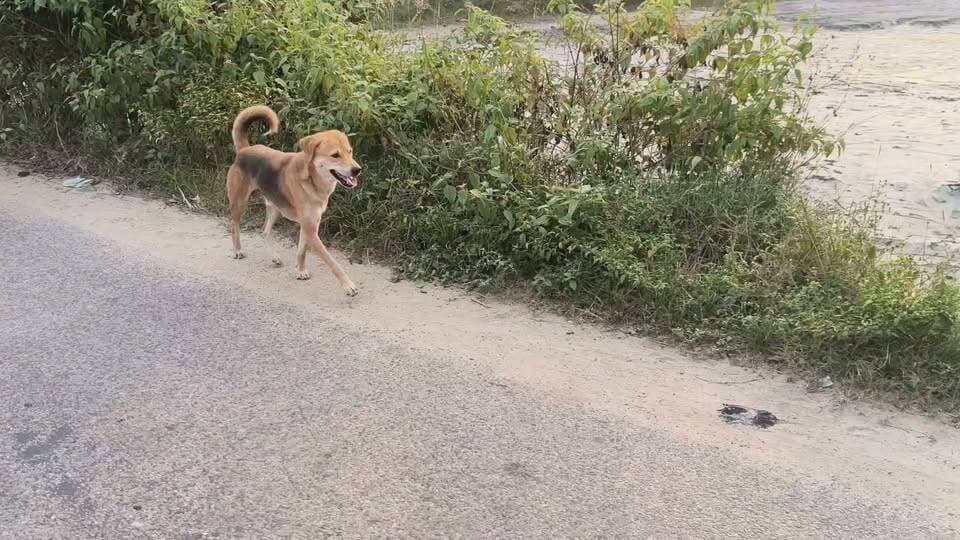 लोहरदगा से किसको जाने वाले रास्ता कब होगा गड्ढा मुक्त रोड #लोहरदगा
