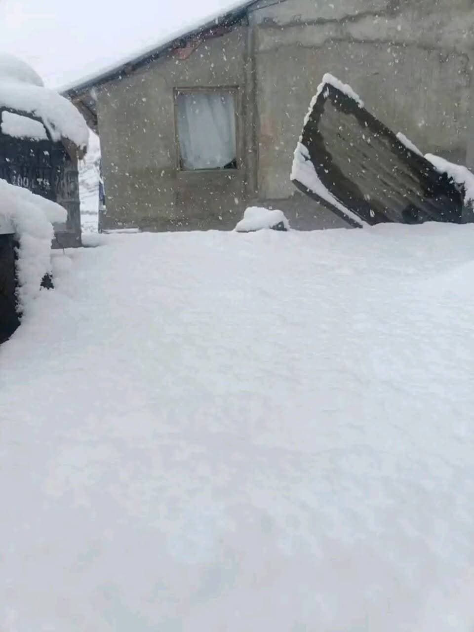 चंबा पांगी में ताजा हिमपात 15 October 2026 #snowfall