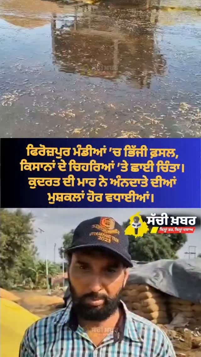 ਫਿਰੋਜ਼ਪੁਰ ਮੰਡੀਆਂ ’ਚ ਭਿੱਜੀ ਫ਼ਸਲ, ਕਿਸਾਨਾਂ ਦੇ ਚਿਹਰਿਆਂ ’ਤੇ ਛਾਈ ਚਿੰਤਾ। ਕੁਦਰਤ ਦੀ ਮਾਰ ਨੇ ਅੰਨਦਾਤੇ ਦੀਆਂ ਮੁਸ਼ਕਲਾਂ ਹੋਰ ਵਧਾਈਆਂ।
#Punjab #Farmers #PunjabNews #SachiKhabar