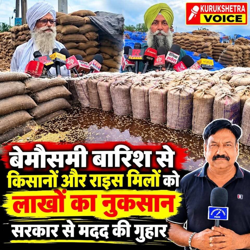 बेमौसमी बारिश ने फिर किया किसानों और राइस मिलों का लाखों का नुकसान, सरकार से मदद की गुहार