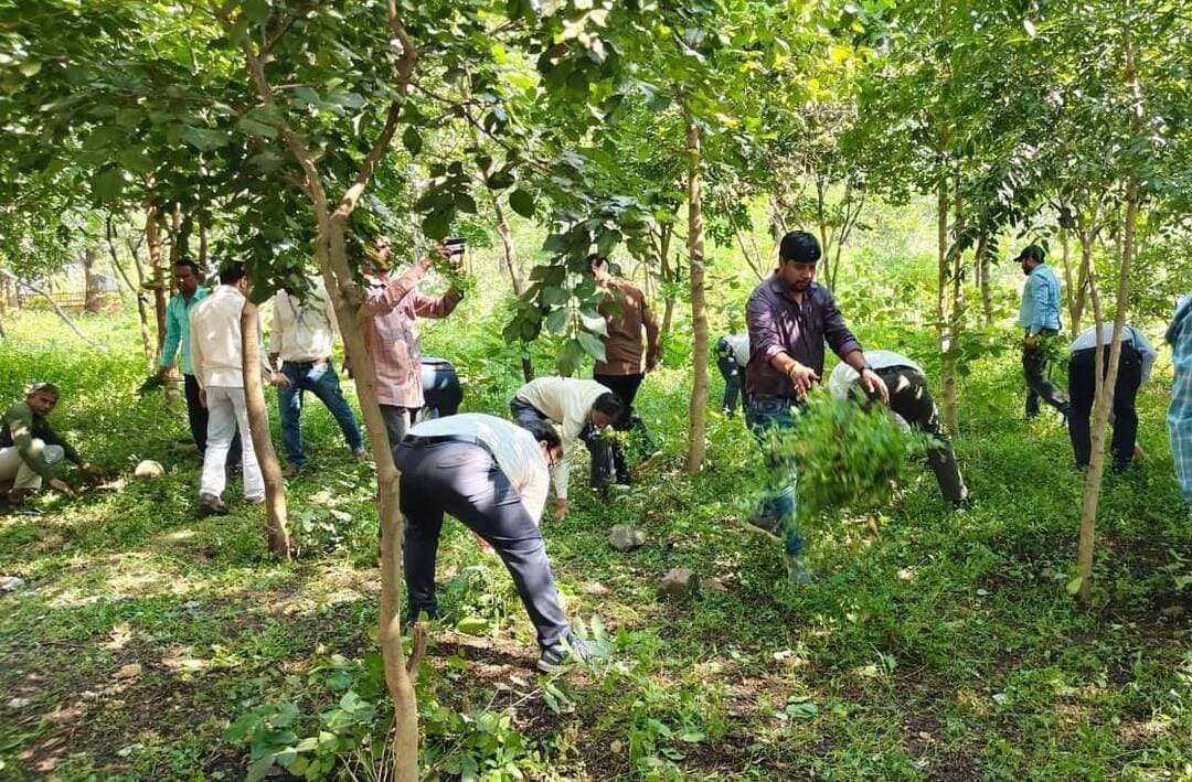 #गुना - कलेक्ट्रेट परिसर स्थित पार्क में श्रमदान कर दिया स्वच्छता का संदेश
कर्मचारियों ने श्रमदान कर निकाला 6 ट्रॉली कचरा
कलेक्टर श्री किशोर कुमार कन्याल के निर्देशन में ‘’स्वच्छता अभियान’’ अंतर्गत जिला कलेक्ट्रेट परिसर स्थित पार्क में श्रमदान किया गया। गुरूवार सुबह 10 बजे पार्क में कलेक्ट्रेट सहित विभिन्न विभागों के कर्मचारियों ने एक साथ श्रमदान कर स्वच्छता का संदेश दिया। इस दौरान कलेक्ट्रेट के कर्मचारियों द्वारा साफ-सफाई एवं पेड़ों की छंटाई का कार्य किया गया। पार्क में श्रमदान के दौरान परिसर से लगभग 6 ट्रॉली कचरा निकाला गया। इस दौरान संयुक्त कलेक्टर डॉ. संजीव खेमरिया द्वारा कार्यालय में समय पर नहीं आने वाले कर्मचारियों एवं अनुपस्थित कर्मचारियों को नोटिस जारी किए जाने के निर्देश दिए।
इस अवसर पर कलेक्टर श्री किशोर कुमार कन्याल ने कर्मचारियों का उत्साहवर्धन करते हुए सभी को पार्क को स्वच्छ रखने के लिए प्रेरित किया। उन्होंने सभी कर्मचारियों के सहयोग से परिसर को हमेशा साफ-सुथरा रखने के लिए कहा। साथ ही उन्होंने उद्यानिकी विभाग के अधिकारियों को पौधे लगाने के निर्देश दिए।
आज श्रमदान के दौरान संयुक्त कलेक्टर डॉ. संजीव खेमरिया, डिप्टी कलेक्टर श्री दिव्यांशु शिवहरे, नायब तहसीलदार श्रीमती आरती गौतम सहित जिला अधिकारी एवं कलेक्ट्रेट के कर्मचारी विशेष रूप से उपस्थित थे।
#Guna CM Madhya Pradesh Jansampark Madhya Pradesh Gwalior Commissioner Panchayat, Rural Development and Social Welfare Department of Madhya Pradesh
