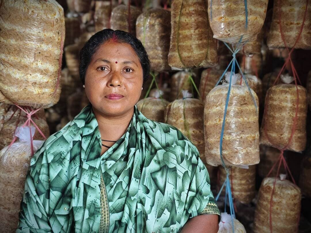 छोटे कमरे से बड़े कारोबार तक का सफर, मशरूम उत्पादन ने प्रेमलता साहू को बनाया आत्मनिर्भर।
बिहान योजना से मिला आर्थिक संबल, मेहनत और लगन से बनीं ‘लखपति दीदी’, परिवार को मिला खुशहाली और सम्मान का नया आधार।
कभी कच्चे मकान में रहने वाले परिवार की आर्थिक जरूरतों को पूरा करने के लिए संघर्ष करने वाली ग्राम मुल्ले की श्रीमती प्रेमलता साहू आज अपनी मेहनत और लगन से आत्मनिर्भरता की नई मिसाल बन गई हैं। घर के एक छोटे से कमरे से मशरूम उत्पादन की शुरुआत करने वाली प्रेमलता आज बड़े हॉल में मशरूम का उत्पादन कर रही हैं। छत्तीसगढ़ राज्य ग्रामीण आजीविका मिशन ‘बिहान’ से जुड़कर उन्होंने अपने छोटे से प्रयास को आजीविका के मजबूत साधन में बदल दिया है। उनकी मेहनत का ही परिणाम है कि आज वे प्रतिमाह लगभग 60 से 70 हजार रुपए की शुद्ध आय अर्जित कर रही हैं और ‘लखपति दीदी’ के रूप में अपनी अलग पहचान बना चुकी हैं।
#लखपति_दीदी #baloddistrict
#सेवा_संकल्प_अभियान #बिहान
