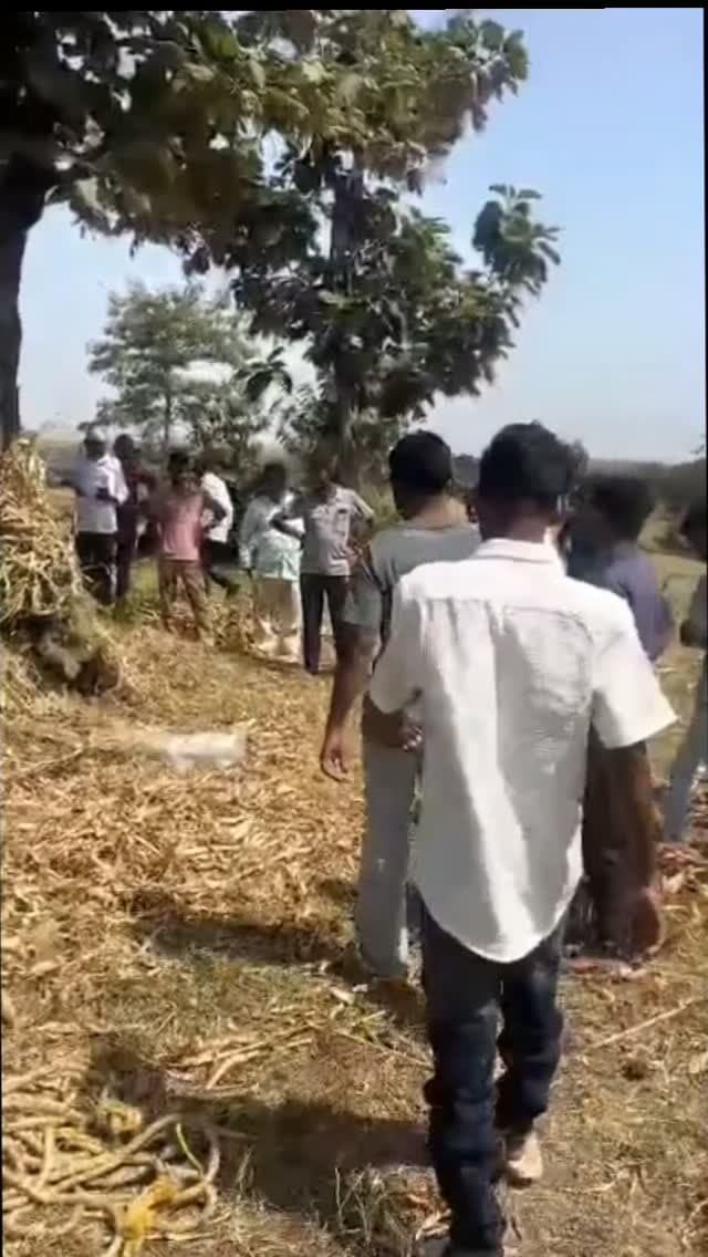 દાહોદના કંબોઈ ગામે 9 ફૂટ લાંબા વિશાળ અજગરનું રેસ્ક્યુ, વન વિભાગની મદદથી કુદરતી આવાસમાં મુક્ત કરાયો
દાહોદના કંબોઈ ગામમાં નેચર હેલ્પ ફાઉન્ડેશનની ત્રણ સભ્યોની ટીમ દ્વારા 9 ફૂટ લાંબા અને આશરે 12 કિલો વજન ધરાવતા વિશાળ અજગરનું સફળતાપૂર્વક રેસ્ક્યુ કરવામાં આવ્યું હતું. ત્યારબાદ વન વિભાગના સહયોગથી અજગરને સુરક્ષિત જંગલ વિસ્તારમાં મુક્ત કરવામાં આવ્યો હતો.
મળતી માહિતી મુજબ, કંબોઈ ગામના રહેવાસી રાકેશભાઈ મગનભાઈ પોતાના ઘરની પાછળ આવેલા ખેતરમાં હતા. તે દરમિયાન ખેતરમાં કોઈ અવાજ કે હલચલ સંભળાતાં તેમણે તપાસ કરી હતી. તપાસ દરમિયાન તેમને એક મોટો અજગર દેખાતાં આસપાસના લોકો એકત્રિત થઈ ગયા હતા.
આ અંગે ગામના એક જાગૃત નાગરિકે દાહોદના નેચર હેલ્પ ફાઉન્ડેશનને ટેલિફોનિક જાણ કરી હતી. માહિતી મળતાં જ ફાઉન્ડેશનની ત્રણ સભ્યોની ટીમ તાત્કાલિક ઘટનાસ્થળે પહોંચી હતી અને સાવચેતીપૂર્વક અજગરનું રેસ્ક્યુ કર્યું હતું.
આ સમગ્ર ઘટનાની જાણ વન વિભાગને પણ કરવામ�