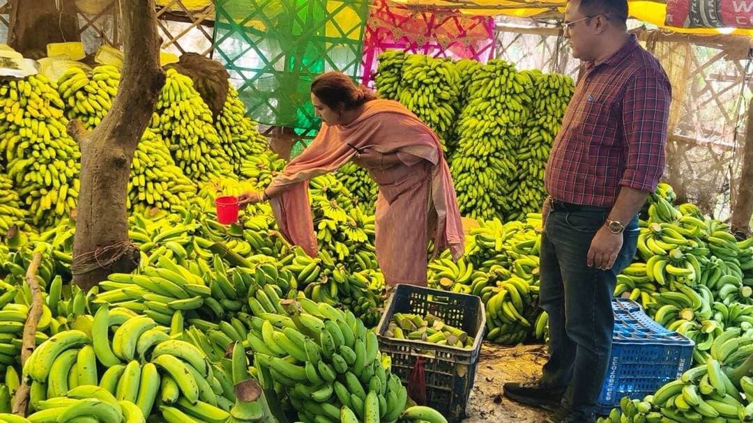 उत्तरप्रदेश में बिना लाइसेंस चल रहे थे केले पकाने वाले 25 केंद्र
