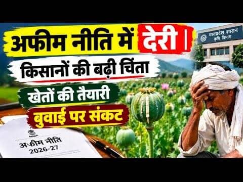 अफीम नीति को लेकर क्या कहा किसानों ने?, देखिये इस रिपोर्ट मे #afim_niti #afim_kisan #centrbyuronarko