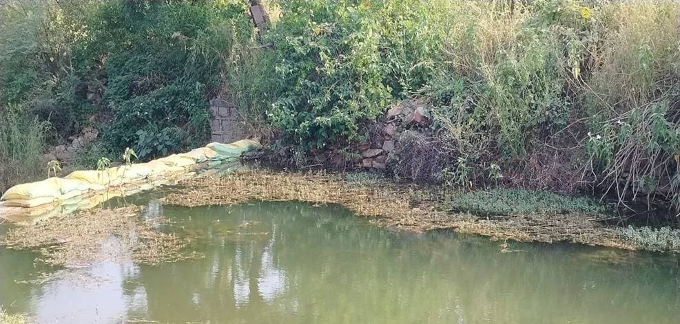 जिले की 243 ग्राम पंचायतों में जनभागीदारी से बोरी बंधान कार्य प्रारंभ
जल संरक्षण, भूजल संवर्धन और कृषि भूमि में नमी बनाए रखने के लिए जिला प्रशासन की पहल
जिले में जल संरक्षण एवं वर्षा जल संचयन को बढ़ावा देने के लिए जनभागीदारी से बोरी बंधान का कार्य प्रारंभ किया गया है। इसके तहत जिले की सभी 243 ग्राम पंचायतों में स्थानीय स्तर पर जल संरचनाओं को चिह्नित कर पानी के बहाव को नियंत्रित करने और जल संचयन को प्रोत्साहित करने के प्रयास किए जा रहे हैं।
कलेक्टर श्री हिमांशु चंद्रा एवं जिला पंचायत के मुख्य कार्यपालन अधिकारी श्री अमन वैष्णव के मार्गदर्शन में पंचायत एवं ग्रामीण विकास विभाग द्वारा यह पहल की जा रही है। इसके अंतर्गत पुराने बोरों में मिट्टी एवं रेत भरकर तालाबों, चेकडेम, स्टॉपडेम, नहरों तथा अन्य जल संरचनाओं के आसपास आवश्यकतानुसार बोरी बंधान किया जा रहा है, ताकि पानी के बहाव की गति कम हो और उसका अधिक समय तक संचयन किया जा सके।
जल संरचनाओं के संरक्षण के साथ जल संचयन पर जोर
ग्राम पंचायतों में बोरी बंधान के साथ ही आवश्यकता के अनुसार स्टॉपडेम पर कड़ी शटर लगाने तथा मिट्टी के बांध बनाने जैसे कार्य भी किए जा रहे हैं। इन प्रयासों का उद्देश्य उपलब्ध जल संसाधनों का बेहतर उपयोग करना और वर्षा जल को अधिक समय तक रोककर रखना है। स्थानीय परिस्थितियों के अनुरूप किए जा रहे ये कार्य ग्रामीण क्षेत्रों में जल संरक्षण को बढ़ावा देने में सहायक होंगे।
किसानों और पशुपालकों को मिलेगा लाभ
बोरी बंधान से पानी के बहाव को नियंत्रित करने तथा जल संरचनाओं में जल उपलब्धता बनाए रखने में मदद मिल सकती है। इससे आसपास की कृषि भूमि में नमी बनाए रखने, भूजल पुनर्भरण को बढ़ावा देने और सिंचाई के लिए पानी की उपलब्धता में सुधार की संभावना है। इसके साथ ही ग्रामीण क्षेत्रों में पशुओं के लिए पेयजल की उपलब्धता बनाए रखने में भी ये प्रयास उपयोगी साबित हो सकते हैं।
जनभागीदारी से जल संरक्षण को मिलेगा बढ़ावा
जिले की सभी 243 ग्राम पंचायतों में जनसहयोग से किए जा रहे बोरी बंधान कार्य जल संरक्षण के प्रति सामुदायिक सहभागिता को मजबूत करने की दिशा में महत्वपूर्ण पहल हैं। स्थानीय संसाधनों और जनभागीदारी के माध्यम से जल संरक्षण के इन प्रयासों से ग्रामीण क्षेत्रों में उपलब्ध जल संसाधनों के संरक्षण एवं बेहतर उपयोग को प्रोत्साहन मिलेगा।
CM Madhya Pradesh Jansampark Madhya Pradesh
#neemuch #नीमच