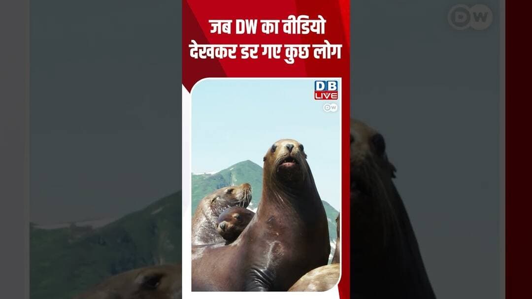 जब DW का वीडियो देखकर डर गए कुछ लोग #dwhindinews #ClimateChange #MassExtinction