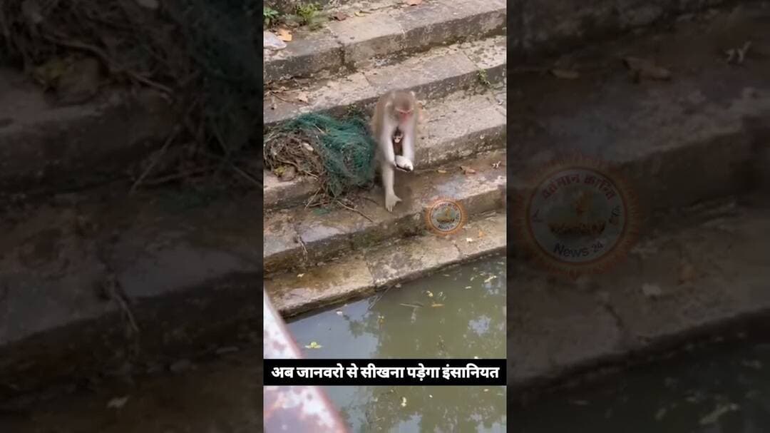 आदमी और जानवर में फर्क viral video
