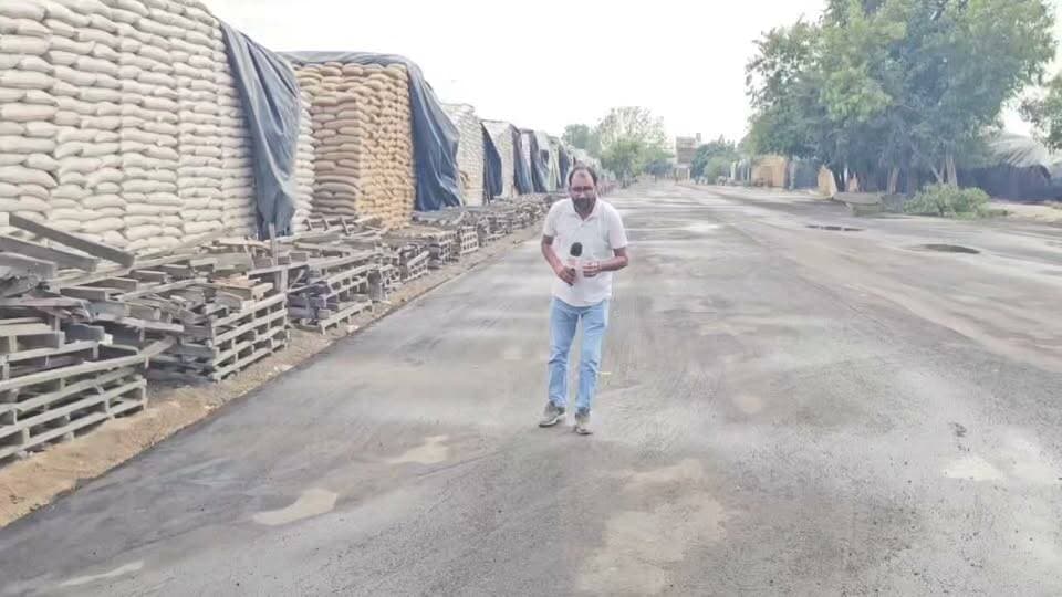 ये रख रखाव है प्रशासन का भिवानी में गेहूं भी भीगने को तैयार?