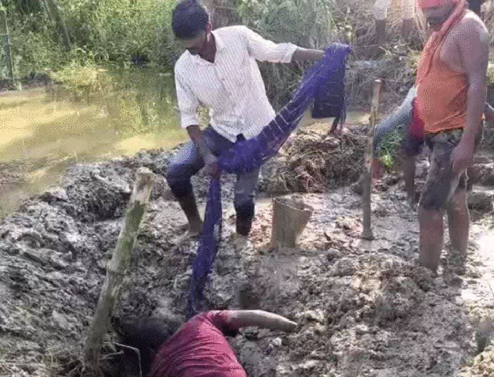 मुजफ्फरपुर में युवती की मौ'त का मामला: डेढ़ महीने बाद खेत से मिला श'व, मां समेत 3 हिरासत में
पूरी खबर कमेंट बॉक्स में पढ़ें