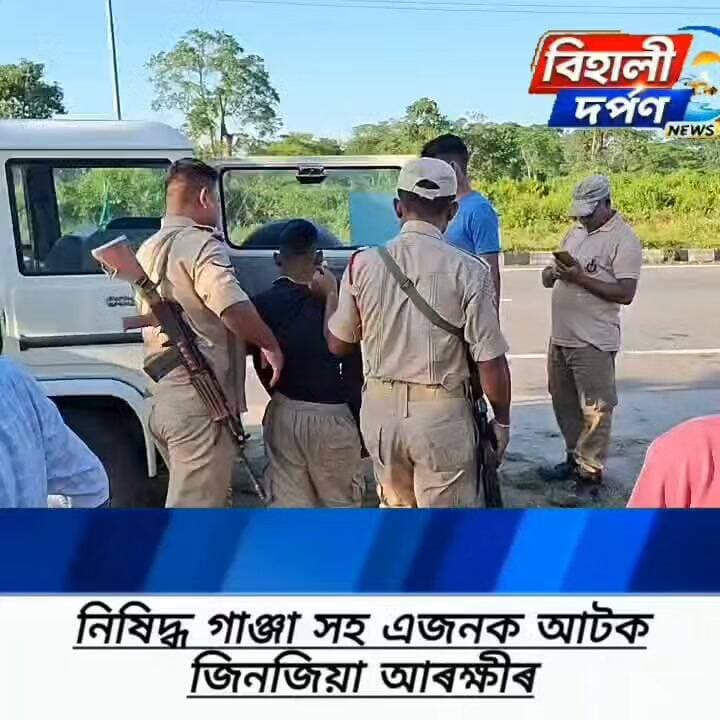 BREKING NEWS*
*জিনজিয়া আৰক্ষীৰ অভিযানত গ্ৰেপ্তাৰ এজন নিষিদ্ধ গাঞ্জা সৰবৰাহকাৰী*✅✅✅#behalidarpan