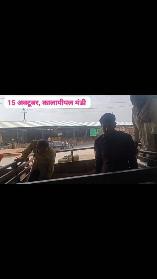 #viralreels #viralreelsvideo #trending #reelkarofeelkaro #mandibhavkalapipal