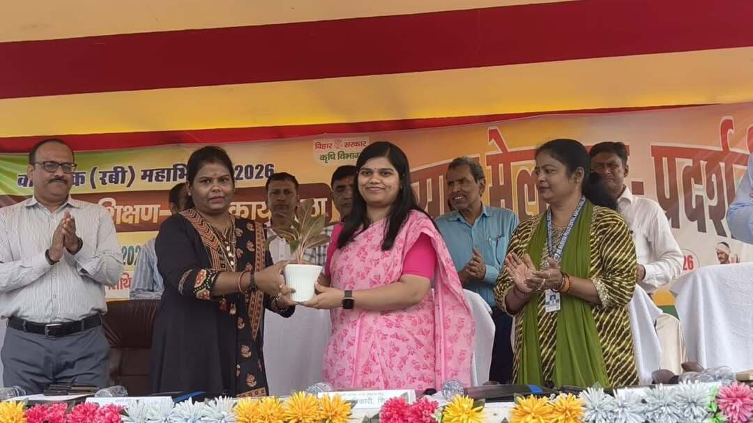 शिवहर में दो दिवसीय किसान मेला और रबी महाभियान का शानदार आगाज! 🎉🌾
आज संयुक्त कृषि भवन, शिवहर में जिलाधिकारी श्रीमती प्रतिभा रानी (IAS) द्वारा दो दिवसीय 'किसान मेला-सह-प्रदर्शनी' और जिला स्तरीय रबी महाभियान का भव्य उद्घाटन किया गया। इस वृहद् आयोजन में 500 से अधिक प्रगतिशील किसानों और महिला कृषकों ने भारी उत्साह के साथ भाग लिया! 👩🌾👨🌾
कार्यक्रम की मुख्य झलकियाँ:
🔹 महिला किसान सशक्तिकरण: 'अंतर्राष्ट्रीय महिला किसान वर्ष-2026' के उपलक्ष्य में प्राकृतिक खेती करने वाली उत्कृष्ट महिला कृषकों को सम्मानित किया गया। साथ ही 'पीएम सूर्य घर योजना' की लाभुक श्रीमती विनीता कुमारी को प्रशस्ति-पत्र प्रदान किया गया। 🏆
🔹 स्टॉल और प्रदर्शनी: किसानों और सरकारी विभागों द्वारा उत्कृष्ट कृषि उत्पादों के स्टॉल लगाए गए।
🔹 तकनीकी प्रशिक्षण: कृषि विज्ञान केंद्र (KVK) के वैज्ञानिकों और अधिकारियों द्वारा रबी फसलों की उन्नत तकनीक, कृषि यंत्रों पर सब्सिडी और पशुपालन योजनाओं की विस्तृत जानकारी दी गई। 🚜
🔹 किसानों को प्रोत्साहन: मृदा स्वास्थ्य कार्ड के साथ-साथ किसानों को निःशुल्क गेंदा फूल और टमाटर के पौधे वितरित किए गए। 🍅🌼
जिलाधिकारी महोदया ने सभी किसानों से प्राकृतिक और परंपरागत खेती अपनाने तथा कृषि योजनाओं का अधिकतम लाभ उठाने की अपील की है। 🌿
#Sheohar #KisanMela #RabiMahabhiyan #NaturalFarming #WomenFarmersDay #AgricultureBihar #WomenEmpowerment #FarmerExhibition #SheoharNews