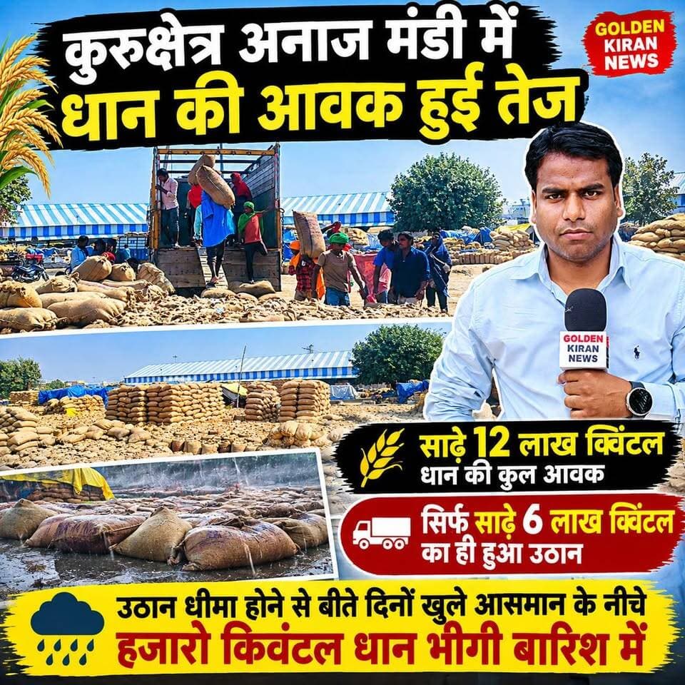 कुरुक्षेत्र अनाज मंडी में धान की आवक हुई तेज,साढ़े 12 लाख किवंटल धान में से सिर्फ साढ़े 6 लाख का ही हुआ उठान,उठान धीमा होने से बीते दिनों खुले आसमान के नीचे हजारो किवंटल धान भीगी बारिश में