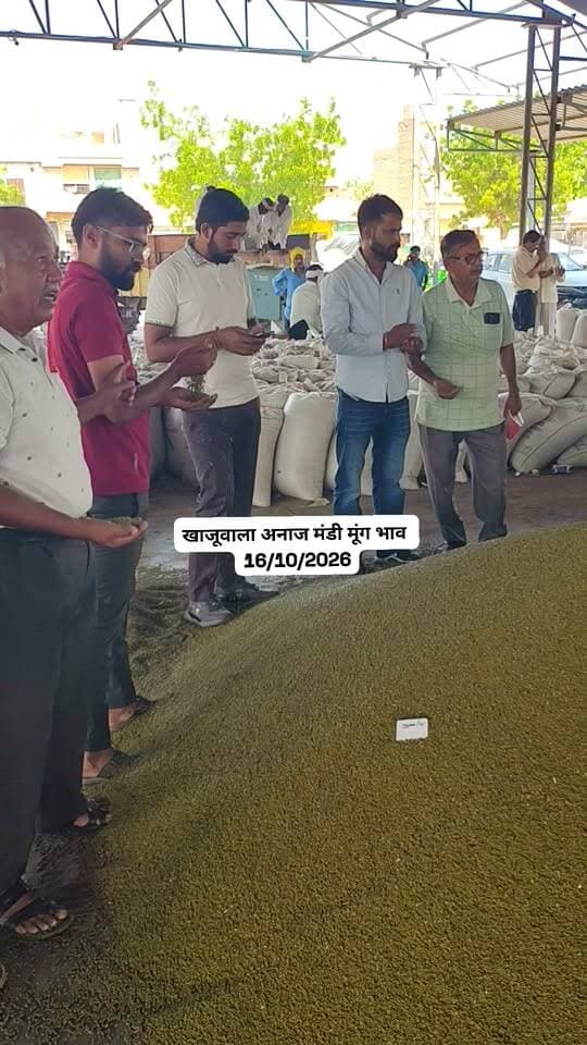 खाजूवाला अनाज मंडी मूंग भाव
#किसान #खाजूवाला #मुंगभाव #ग्वारभाव #मंडीभाव