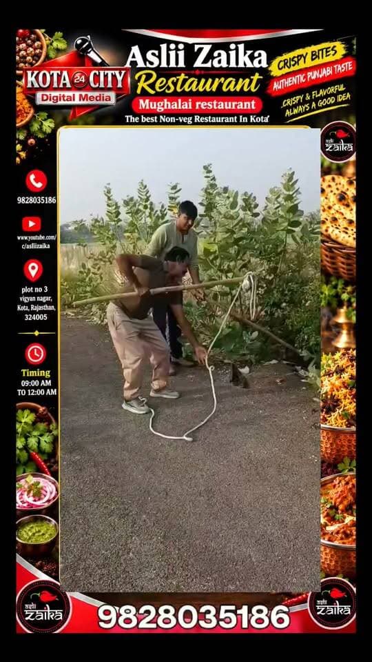 कोटा में सड़क पर दौड़ता दिखा भारी-भरकम मगरमच्छ, लोगों में मची दहशत,वन विभाग की टीम ने कड़ी मशक्कत के बाद किया रेस्क्यू, पकड़ने के दौरान कई बार हमले का प्रयास