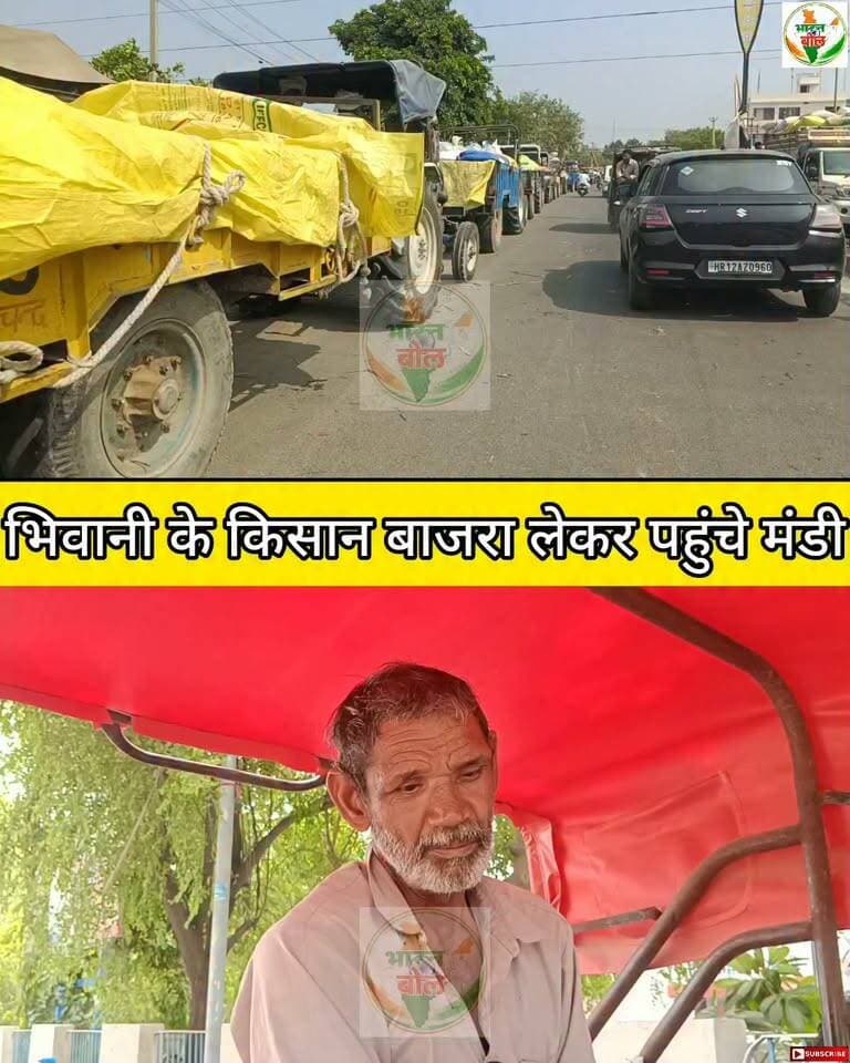 भिवानी के किसान बाजरा लेकर पहुंचे मंडी #bhiwani #kisan #bajra #mandi #reels #shorts #trending #viral