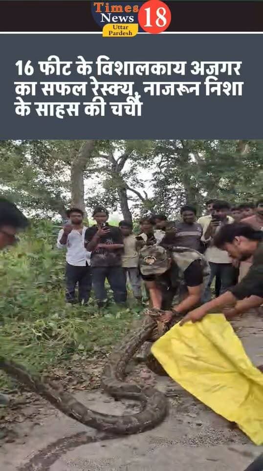 16 फीट के विशालकाय अजगर का सफल रेस्क्यू, नाजरून निशा के साहस की चर्चा
सम्पूर्णानगर। टाइगर रिजर्व की सम्पूर्णानगर रेंज के अंतर्गत गांधीनगर में हजारा थाने के पास जंगल से भटककर करीब 16 फीट लंबा और 90 किलो वजनी इंडियन रॉक पाइथन सड़क पर आ गया। अजगर को देखकर राहगीरों में अफरा-तफरी मच गई और करीब दो घंटे तक यातायात बाधित रहा।
सूचना पर पहुंचीं मोटिवेटर नाजरून निशा ने सावधानीपूर्वक अजगर का सफल रेस्क्यू कर उसे सुरक्षित प्राकृतिक आवास में छोड़ दिया। उनके साहस और सूझबूझ की चर्चा हो रही है। उनका प्रयास वन्यजीवों की सुरक्षा और लोगों को सांपों के प्रति जागरूक करने का संदेश देता है।
#highlightseveryone #LakhimpurKheri #followers