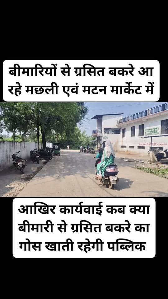 रीवा की पब्लिक बीमारी से ग्रसित बकरे का खा रही गोस
#बकरा #रीवान्यूज़