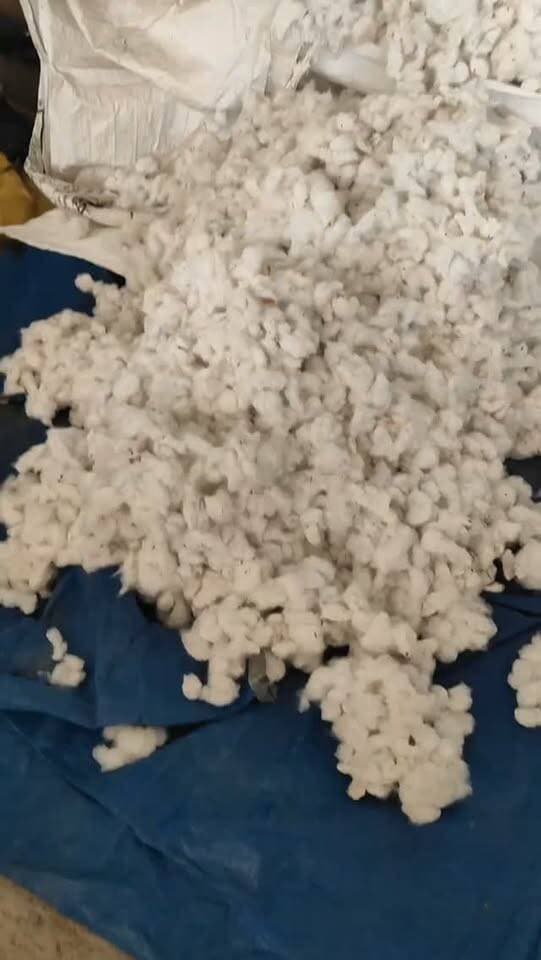आज धामनोद मंडी में कपास का भाव इस प्रकार रहा, आज भी कल वाले ही बाजार
आज कपास 8000 से 9180 तक अभी तक बिका, मंडी में नीलाम कार्य जारी...
16 अक्टूबर 2026
Dhamnod Mandi Bhav
.
.
.
.
.
.
.
.
.
.
.
.
.
.
.
.
#dhamnodmandibhav #kapaskabhav #kapaskamandibhav #mandinews #narmakabhav