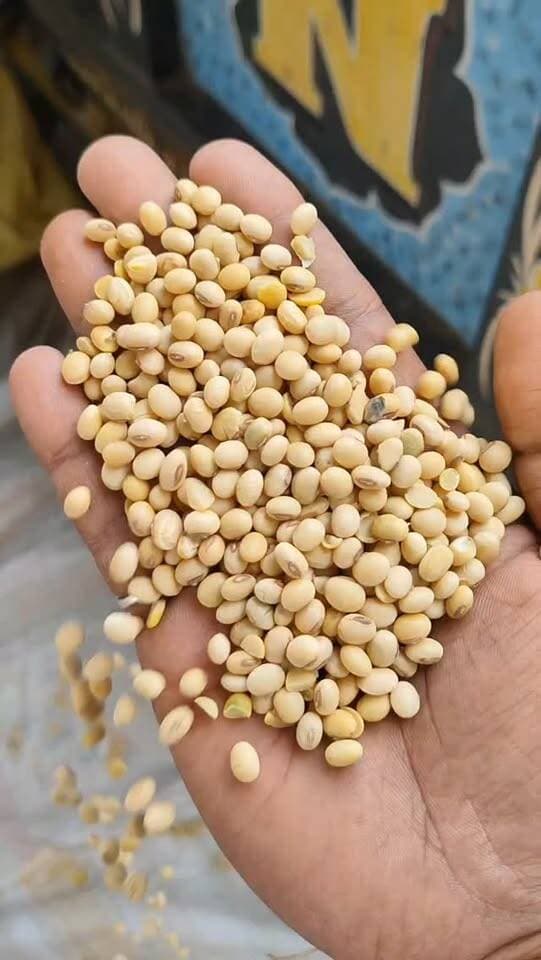 आज धामनोद मंडी में सोयाबीन का भाव इस प्रकार रहा...
आज सोयाबीन के भाव में 100 तक की मंदी देखने मिली
16 अक्टूबर 2026
Dhamnod Mandi Bhav
.
.
.
.
.
.
.
.
.
.
.
.
.
.
.
.
.
.
#dhamnodmandibhav #soyabinmandibhav #soyabinmandi #soyabinkabhav #mandinews