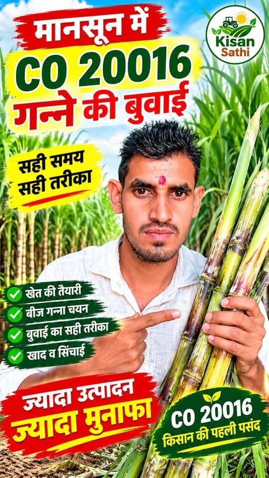 CO 20016 गन्ने की बुवाई कब करें? 🌱 मानसून में किसान भाई जरूर देखें! 🔥
#CO20016 #गन्नेकीबुवाई #गन्ना #SugarcaneFarming #SugarcaneFarmingIndia #KisanSathi