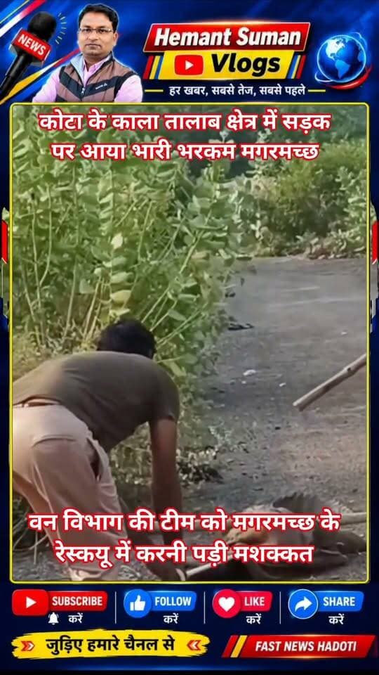 कोटा शहर के काला तालाब क्षेत्र में सड़क पर आया भारी भरकम मगरमच्छ, लोगो मे फैला डर
वन विभाग की टीम को मगरमच्छ के रेस्कयू में करनी पड़ी मशक्कत, कई बार कर्मचारियों पर किया हमला
कोटा। शहर के काला तालाब इलाके में उस समय लोगों में दहशत फैल गई, जब सड़क पर एक भारी-भरकम मगरमच्छ दौड़ता हुआ नजर आया। अचानक सड़क पर मगरमच्छ को देखकर लोग घबरा गए। इलाके में कुछ देर के लिए अफरा-तफरी का माहौल बन गया।
मगरमच्छ दिखाई देने की सूचना वन विभाग को दी गई। सूचना मिलते ही वन विभाग की टीम मौके पर पहुंची और रेस्क्यू ऑपरेशन शुरू किया। टीम को मगरमच्छ को काबू में करने के लिए काफी मशक्कत करनी पड़ी।
रेस्क्यू के दौरान मगरमच्छ ने कई बार हमला करने का प्रयास किया, जिससे अभियान चुनौतीपूर्ण हो गया। हालांकि, वन विभाग की टीम ने सावधानी बरतते हुए आखिरकार मगरमच्छ को सुरक्षित रेस्क्यू कर लिया।
मौसम में बदलाव के साथ ही जंगली जीव-जंतुओं की आवाजाही को लेकर सतर्कता जरूरी है। ऐसे में लोगों से अपील है कि मगरमच्छ या किसी अन्य जंगली जीव के दिखाई देने पर उसके नजदीक न जाएं और उसे पकड़ने की कोशिश न करें। तुरंत वन विभाग को सूचना दें।
