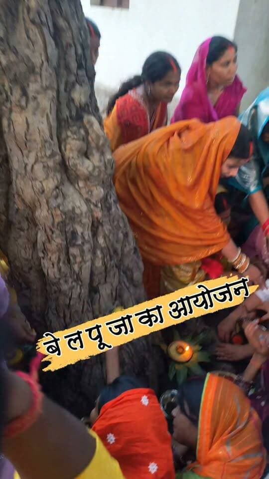 देवी गीतों से भक्तिमय हुआ क्षेत्र,कई पूजा पंडालों में हुआ बेल पूजन
#nonfollowersviewers #socialmedia #trendingpost #everyoneシ゚ #fouryouシ #highlightseveryone #fesbookpost #वायरलपोस्ट #fesbookreels #दुर्गा #त्यौहार #दशहरा #बेल #पूजा #शोभा #यात्रा #श्रद्धालु #धार्मिक #पलामू #झारखंड