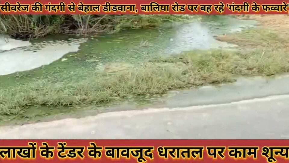 #सीवरेज_की_गंदगी_से_बेहाल_डीडवाना_बालिया_रोड_पर_बह रहे #गंदगी_के_फव्वारे_नगर_परिषद_के_दावे_पस्त
#sivarej #ki #gandgi #se #behal #didwana #baliya #road #par #bah #rhe #gandgi #ke #favvare #nagar #parishad #ke #dawe #parsat #news #didwanajila