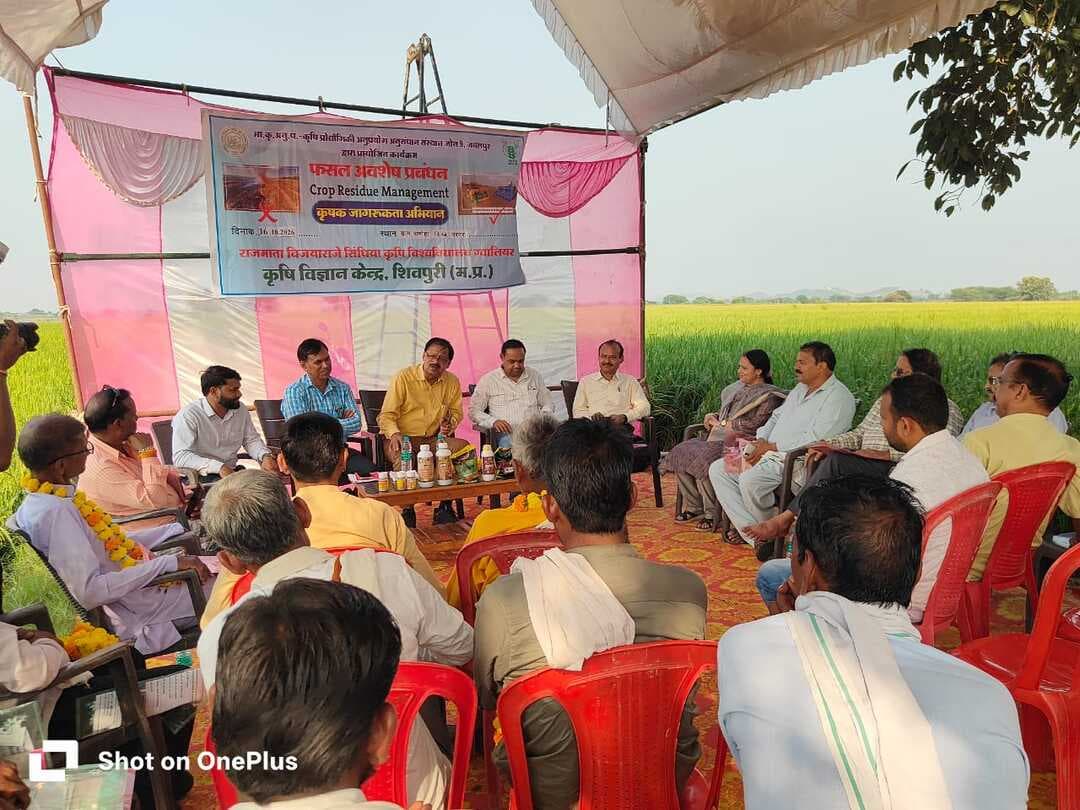 पराली प्रबन्धन के लिए किया जागरूक
कृषि विज्ञान केन्द्र शिवपुरी द्वारा विश्व खाद्य दिवस (16 अक्टूबर थीम 2026 आज नवाचार करे - कल का पोषण करे) के अवसर पर ग्राम समोहा विकासखंड नरवर जिला शिवपुरी के मॉडल प्राकृतिक खेती फार्म मे शामिल किसान श्री बहादुर सिंह रावत के प्रक्षेत्र पर नरवाई/पराली नहीं जलाने के बारे मे संगोष्ठी में विस्तार से तकनीकी जानकारी दी गई।
खरीफ फसलों में धान मक्का जैसी फसलों की कटाई के साथ स्ट्रा मैनेजमेंट सिस्टम का उपयोग करने एवं जीरो टिलड्रिल सुपर सीडर स्मार्ट सीडर हैप्पी सीडर जैसे कृषि यंत्रों का उपयोग करते हुए कस्टम हायरिंग सेवाओं का लाभ लेकर रबी फसलों की बुवाई करने तथा साथ ही वेस्टडीकंपोजर का उपयोग करने से जमीन में सूक्ष्मजीवों के द्वारा होने वाले लाभों के बारे में विस्तार पूर्वक जानकारी दी गई।
इस अवसर कृषि विज्ञान केन्द्र शिवपुरी के प्रमुख डॉ पुनीत कुमार वरिष्ठ वैज्ञानिक डॉ एम के भार्गव डॉ पुष्पेन्द्र सिंह डॉ नीरज कुशवाहा सहायक संचालक कृषि डॉ किरण रावत वरिष्ठ कृषि अधिकारी आत्मा के ब्लॉक तकनीकी प्रबंधक इफको प्रतिनिधि क्षेत्रीय कृषि विकास अधिकारियों के साथ 70 से अधिक कृषकों की सहभागिता रही।
प्रदर्शन : धान सघनता प्रणाली, प्राकृतिक खेती में लगाई गई विलुप्तप्राय प्रजाति कालीमूंछ जो 1 हेक्टर में वर्तमान में लगी हुई है। धान-गेहूँ- मूंग के आदर्श फसल-चक्र लिया जा रहा है, इस बारे में कृषकों को मॉडल फार्म पर भ्रमण कराया गया एवं यथास्थान जिज्ञासाओं का समाधान करते हुए रबी फसलों की बुवाई अवशेष प्रबंधन तकनीको के साथ करने, पराली नहीं जलाने के बारे में अन्य कृषकों को भी जानकारी देने के लिए बतलाया गया।
कृषक श्री बहादुर सिंह रावत द्वारा भी सभी से अनुरोध किया गया है कि मेरे प्रक्षेत्र पर प्रदर्शन इकाइयों के लिए भ्रमण करने कृषक बंधुजन सादर आमंत्रित है।
CM Madhya Pradesh
Department of Agriculture, Madhya Pradesh
#shivpuri