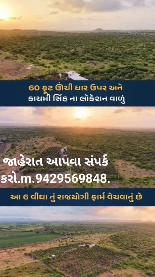 જુનાગઢ જિલ્લાના વેકરિયા ગામે 6 વીઘા બગીચો વેચવાનો છે..
ખૂબ સારા લોકેશન અને કેરી અને નાળિયેર ના ઝાડ સાથે કિમતી બગીચો વેચવાનો છે. .
સાથે ત્રણ રૂમ એક મોટો હોલ અને ખૂબ સગવડતા સાથે ફાર્મ હાઉસ વેચવાનું છે...
દ્વારકા અને જુનાગઢ સહિત સમગ્ર ગુજરાતમાં જમીન/ફાર્મ હાઉસ/ખેતી અને બિન ખેતીની જમીન લેવા વેચવા અથવા તેની જાહેરાત કરી આપવામાં આવશે.
Joshi ji Property Dealer M.94295 69848