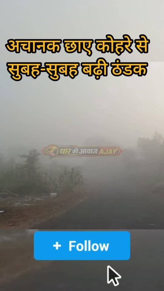 बिसाऊ में कोहरे के साथ मौसम में ठंडक
#bissau #tharkiawaazajay #fog #winteriscoming #weather