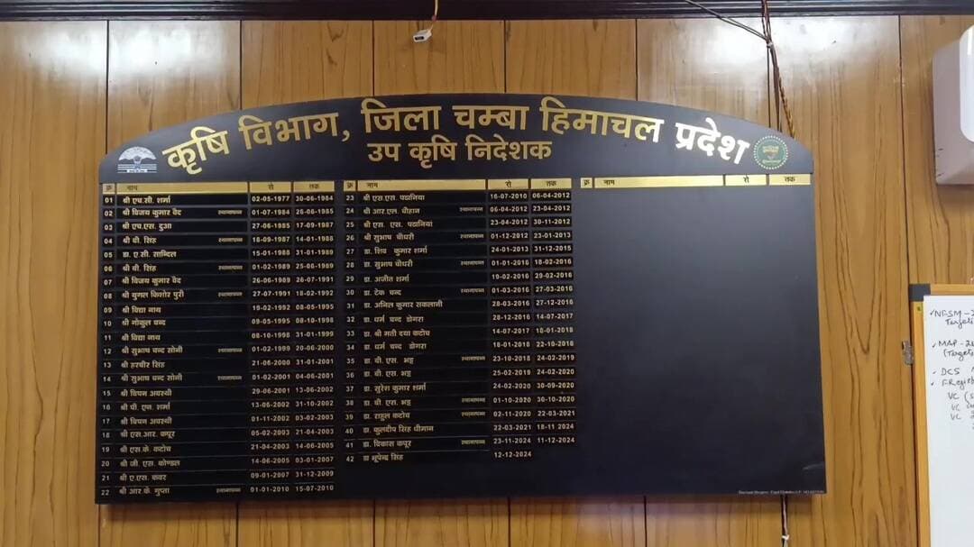 चम्बा: चंबा में मौसम बदलाव से फसलों की पैदावार पर खतरा, कृषि उपनिदेशक ने दिए जरूरी सुझाव