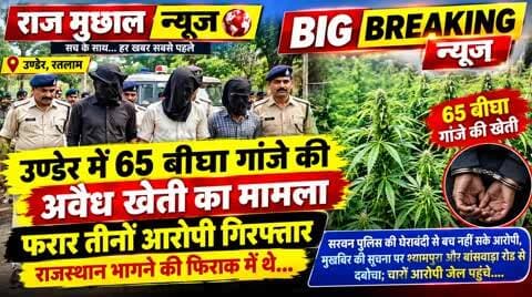सैलाना: उण्डेर में 65 बीघा गांजे की अवैध खेती के तीन आरोपी गिरफ्तार