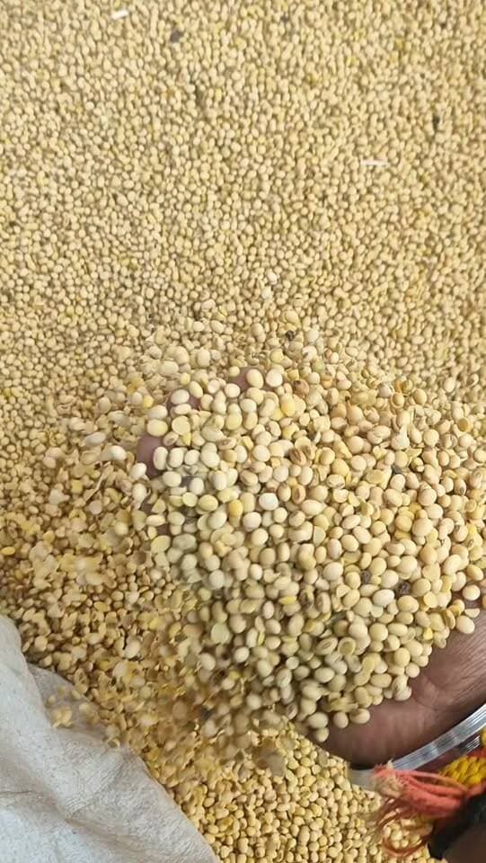 आज धामनोद मंडी में सोयाबीन का भाव इस प्रकार रहा,
आज सोयाबीन 6500 से 7060 तक क्वालिटी अनुसार बिका
17 अक्टूबर 2026
Dhamnod Mandi Bhav
.
.
.
.
.
.
.
.
.
.
.
.
.
.
.
.
.
#dhamnodmandibhav #soyabinmandibhav #soyabinkamandibhav #mandinews #soyabinkabhav