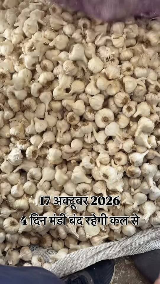 #viralreels #viralreelsvideo #trending #reelkarofeelkaro #mandibhavkalapipal