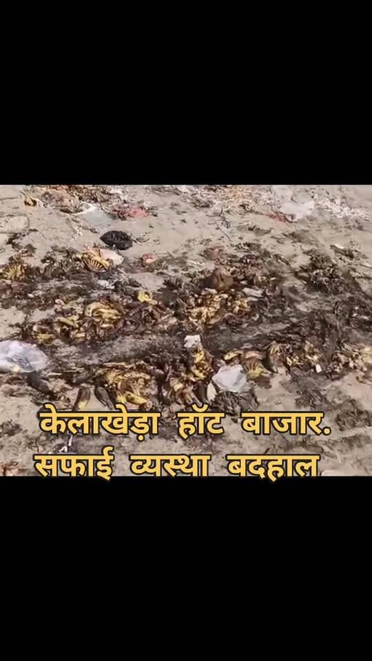 केलाखेड़ा में सफाई व्यवस्था बदहाल, मेन हाट बाजार में गंदगी के ढेर; नगर पंचायत को सौंपा शिकायत पत्र इजाज़ सैफी
कूड़ा उठाने वाली गाड़ी नियमित नहीं आने से दुकानदारों और स्थानीय लोगों में नाराजगी, बीमारी फैलने का खतरा
केलाखेड़ा, ऊधम सिंह नगर।
नगर पंचायत केलाखेड़ा के मेन हाट बाजार सहित नगर के विभिन्न वार्डों में सफाई व्यवस्था को लेकर स्थानीय लोगों ने चिंता जताई है। बाजार में सड़ी-गली सब्जियां, खराब फल और अन्य कचरा जमा होने से दुर्गंध फैल रही है। वहीं, नियमित रूप से कूड़ा उठाने वाली गाड़ी नहीं पहुंचने के कारण लोगों को परेशानी का सामना करना पड़ रहा है।
इस समस्या को लेकर स्थानीय लोगों ने अधिशासी अधिकारी, नगर पंचायत केलाखेड़ा को शिकायत पत्र सौंपकर सफाई व्यवस्था दुरुस्त कराने की मांग की है।
शिकायत पत्र में कहा गया है कि मेन हाट बाजार में कूड़ा जमा होने से दुकानदारों, राहगीरों और आसपास रहने वाले लोगों को दिक्कतें हो रही हैं। सड़कों और गलियों में कचरा फैला होने के कारण वातावरण दूषित हो रहा है। इसके अलावा, सड़े हुए कचरे पर मक्खियों, मच्छरों और आवारा पशुओं का जमावड़ा लगने से संक्रामक बीमारियों का खतरा भी बढ़ सकता है।
स्थानीय लोगों का कहना है कि कूड़ा न उठने के कारण नालियां भी प्रभावित हो रही हैं। इससे गंदा पानी सड़कों पर बहने और जलभराव जैसी समस्याएं उत्पन्न होने की आशंका है।
शिकायत पत्र में की गईं ये प्रमुख मांगें
स्थानीय लोगों ने नगर पंचायत प्रशासन से मांग की है कि मेन हाट बाजार में तत्काल विशेष सफाई अभियान चलाया जाए और सड़ी-गली सब्जियों व अन्य कचरे का उचित निस्तारण कराया जाए। इसके साथ ही नगर के सभी वार्डों में नियमित रूप से कूड़ा उठाने वाली गाड़ी भेजने, सफाई व्यवस्था की निगरानी करने तथा आवश्यकता के अनुसार चूने और कीटनाशक दवाओं का छिड़काव कराने की मांग की गई है।
शिकायतकर्ताओं ने जनहित और स्वास्थ्य सुरक्षा को ध्यान में रखते हुए नगर पंचायत प्रशासन से इस मामले में तत्काल कार्रवाई करने की अपील की है।
अब देखना होगा कि नगर पंचायत प्रशासन शिकायत पर कितनी जल्दी कार्रवाई करता है और नगरवासियों को गंदगी की समस्या से कब तक राहत मिलती है।
R News Uttarakhand — आपकी आवाज़, आपकी खबर।