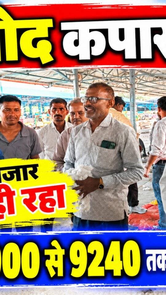 आज धामनोद मंडी में कपास का भाव इस प्रकार रहा...
आज कपास क्वालिटी अनुसार 8000 से 9240 तक बिका...
17 अक्टूबर 2026
Dhamnod Mandi Bhav
.
.
.
.
.
.
.
.
.
.
.
.
.
.
.
.
.
#dhamnodmandibhav #kapaskamandibhav #kapaskabhav #mandinews #mandirates