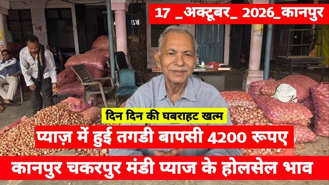 17 October 2026 कानपुर प्याज़ के भावonionreport kanpur #onionmarket kanpur onionmarket price #onion