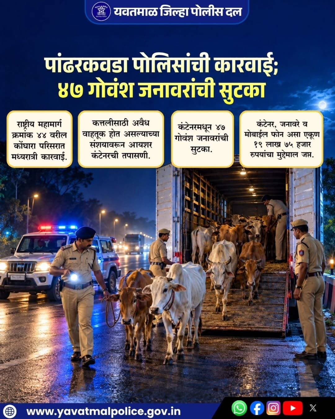 पांढरकवडा पोलिसांची कारवाई; ४७ गोवंश जनावरांची सुटका
@cmomaharashtra
महाराष्ट्र पोलीस | Maharashtra Police
HMO Maharashtra
<nis:link nis:type=tag nis:id=yavatmalpolice nis:value=yavatmalpolice nis:enabled=true nis:link/>
<nis:link nis:type=tag nis:id=police nis:value=police nis:enabled=true nis:link/>
<nis:link nis:type=tag nis:id=yavatmal nis:value=Yavatmal nis:enabled=true nis:link/>