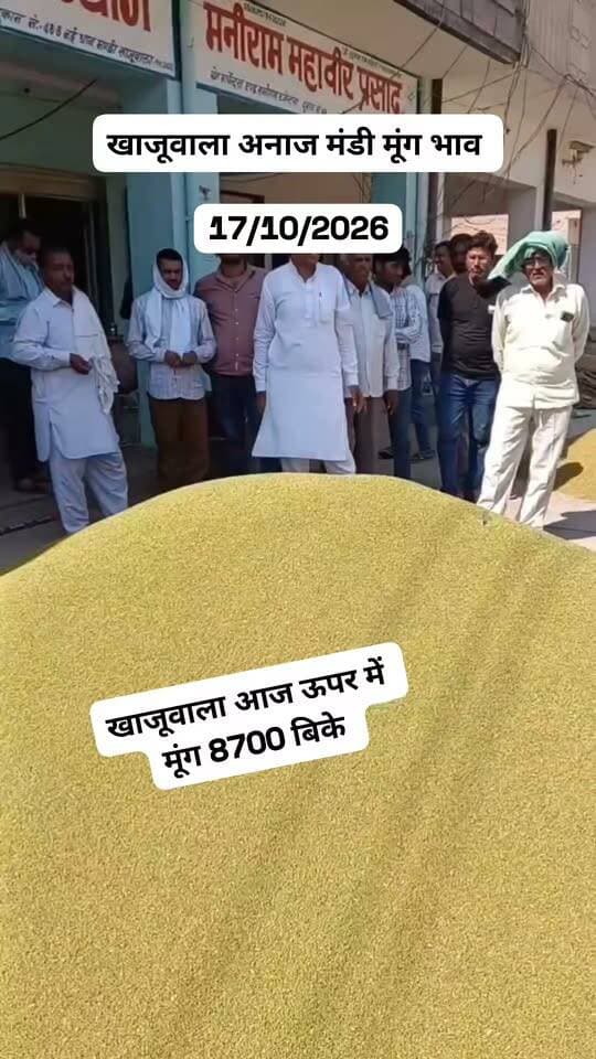खाजूवाला अनाज मंडी मूंग भाव
#किसान #खाजूवाला #मुंगभाव #ग्वारभाव #मंडीभाव