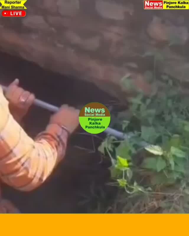 दो दिन से नाले में फंसे नंदी को बजरंग दल ने डेढ़ घंटे की मशक्कत के बाद सुरक्षित निकाला।
Like /comment /share / follow instagram and you tube subscribe
https://nsmpkp.com News Social Media Pinjore Kalka Panchkula Reporter mani Pinjore / kalka
17-10-2025,
my E-mail:manisharma4009@ gmail.com what's app no:-9896944009